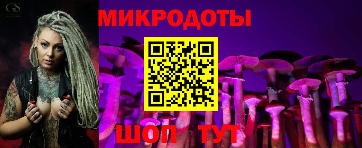 Псилоцибиновые грибы GOLDEN TEACHER Шатура